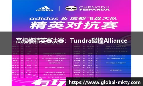 高规格精英赛决赛：Tundra碰撞Alliance